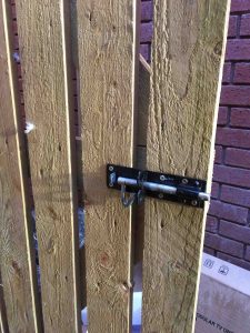 IMG_24681-e1452421511622-225x300